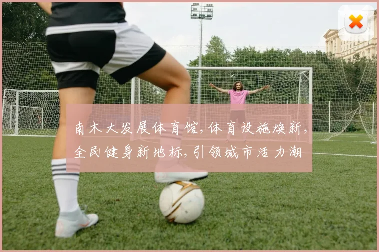 南木大发展体育馆,体育设施焕新,全民健身新地标,引领城市活力潮