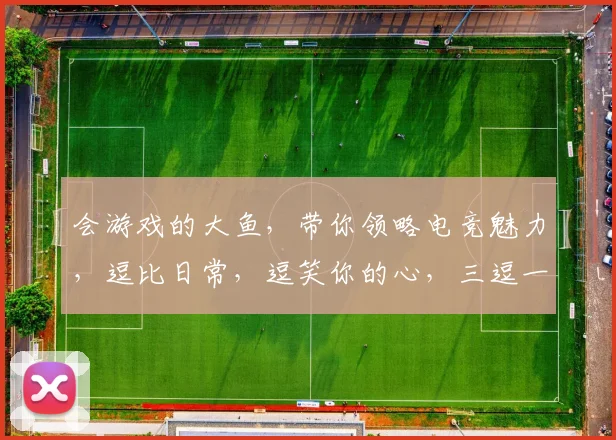 会游戏的大鱼,带你领略电竞魅力,逗比日常,逗笑你的心,三逗一乐,不容错过