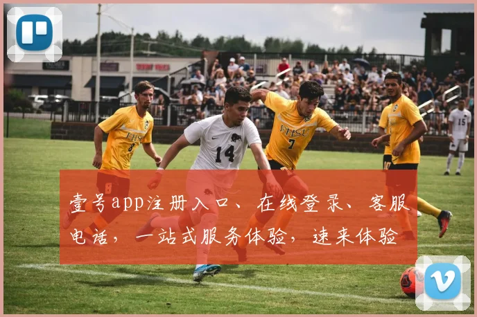壹号app注册入口、在线登录、客服电话,一站式服务体验,速来体验